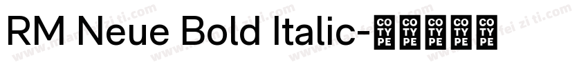 RM Neue Bold Italic字体转换